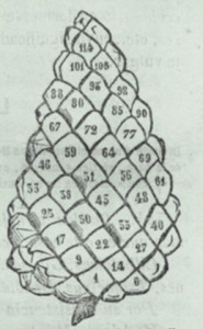 image021