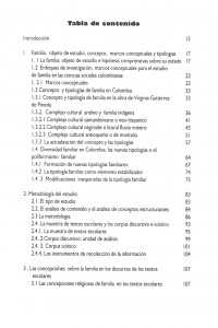 AlzateGomez&Romero.1999(3).IndiceI_Trat2