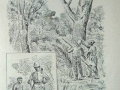 HisBaro29