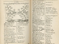 Pictus121