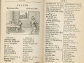 Pictus151