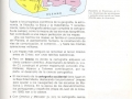 munfer06